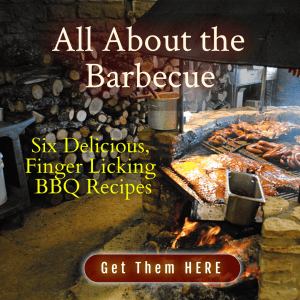 All About the Barbecue